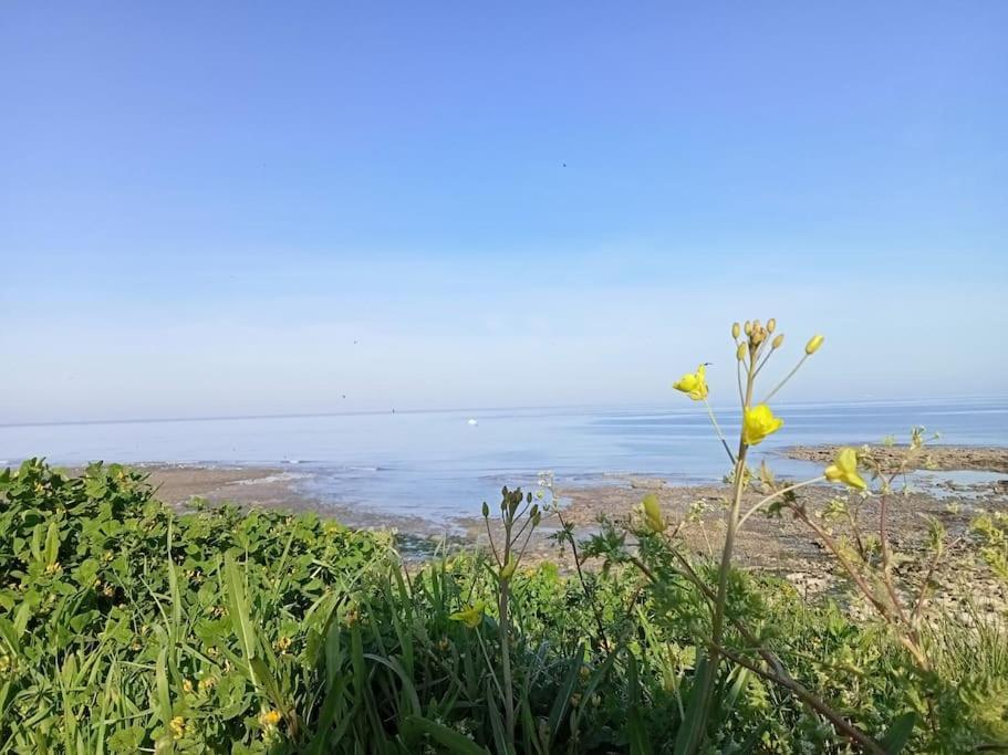 Villa Soleil D'Opale Et Son Grand Jardin à Wimereux Extérieur photo